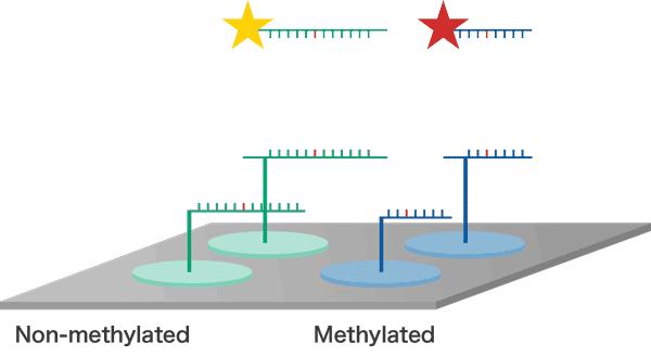 DNA methylation genetic test
