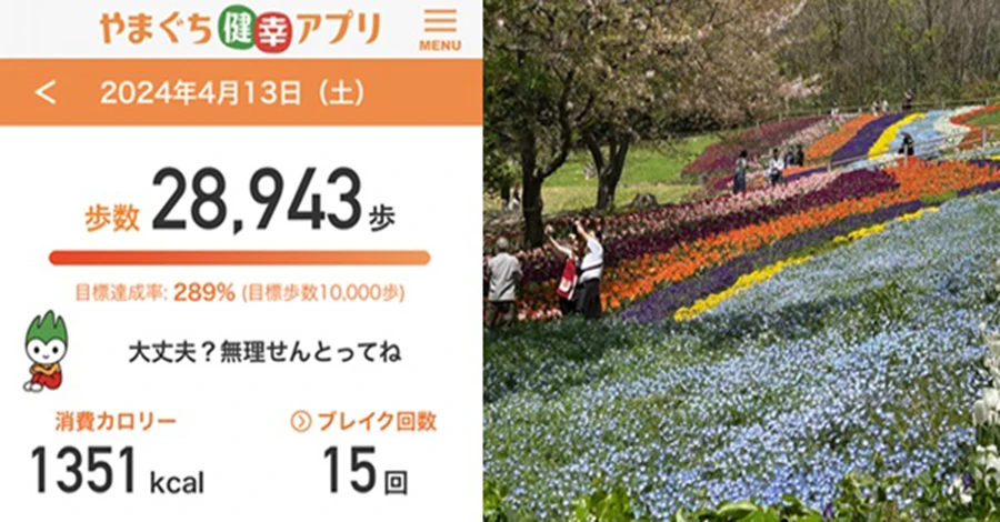 オンラインウォーク