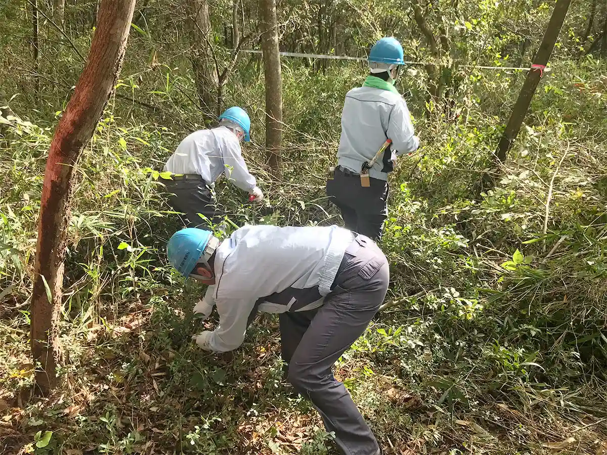 自然環境保全活動