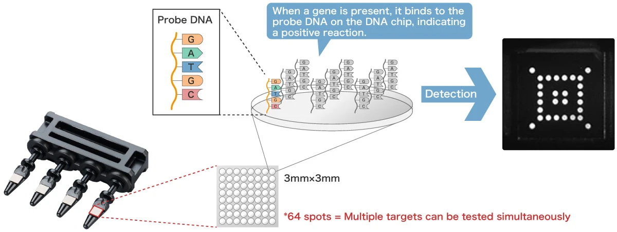 What is GeneSilicon?